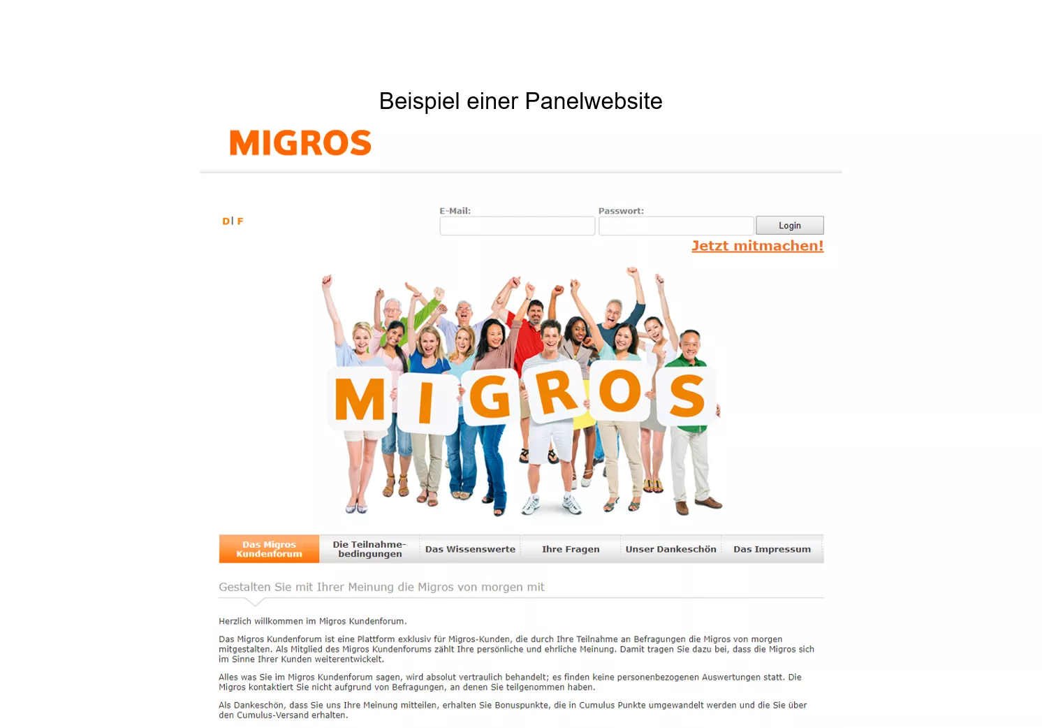 Beispiel Panelwebsite Migros