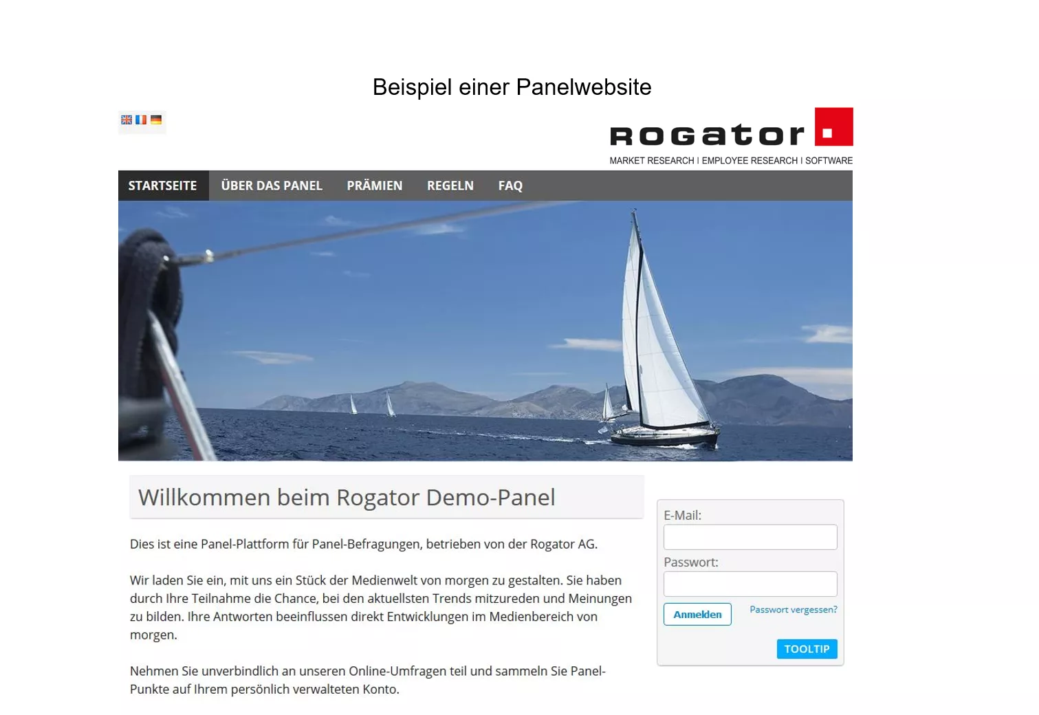 Beispiel Panelwebsite Rogator