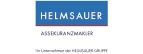Logo Helmsauer
